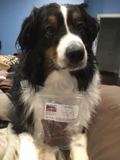 Jerky lover photo 10 of 104